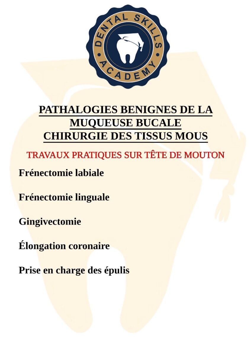 CHIRURGIE BUCCALE basique/avancée